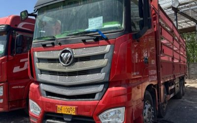 r207923-foton-auman-est-2019_1