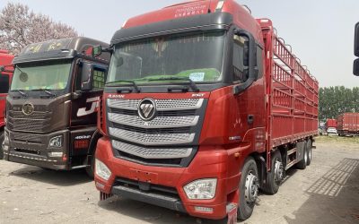r207935-foton-auman-est-2022_1