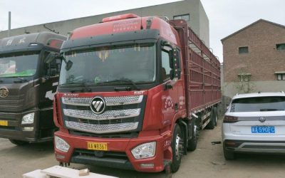 r207941-foton-auman-est-2023_1