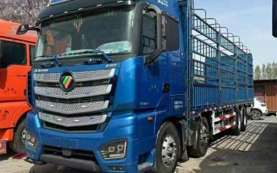 r207955-foton-auman-est-2022_1