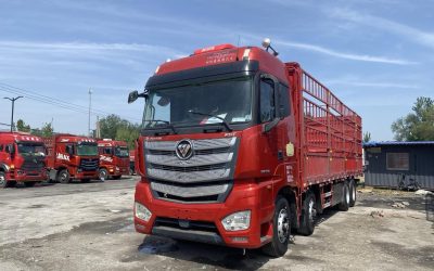 r207957-foton-auman-est-2020_1