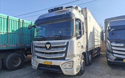 r207972-foton-auman-est-2019_1
