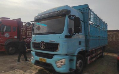 r209866-delong-l5000-2023_1