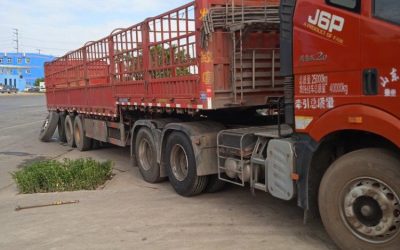 r211380-jiefang-j6p-2020_1