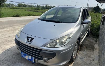 r1022090-peugeot-307-2008_0