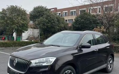 r1022142-borgward-bx7-2019_0