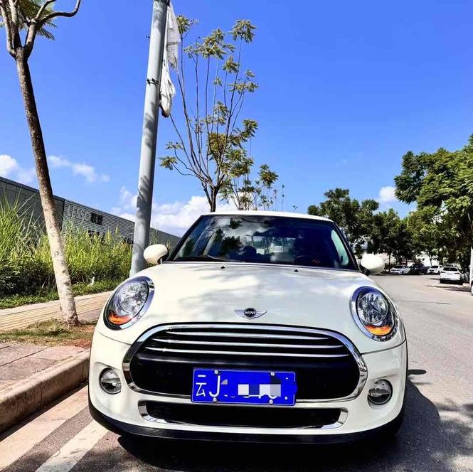 r1022281-mini-2018_0