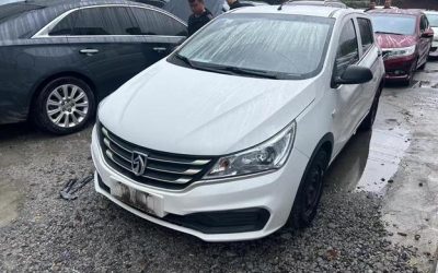 r1022345-baojun-310-2019_0