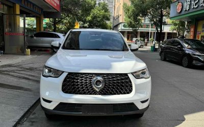 Great Wall Great Wall Wingle 7 в цвете и кузовом – это идеальный выбор среди китайских автомобилей. Доступная цена и надежность гарантированы.