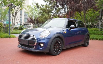 r1022516-mini-2016_0