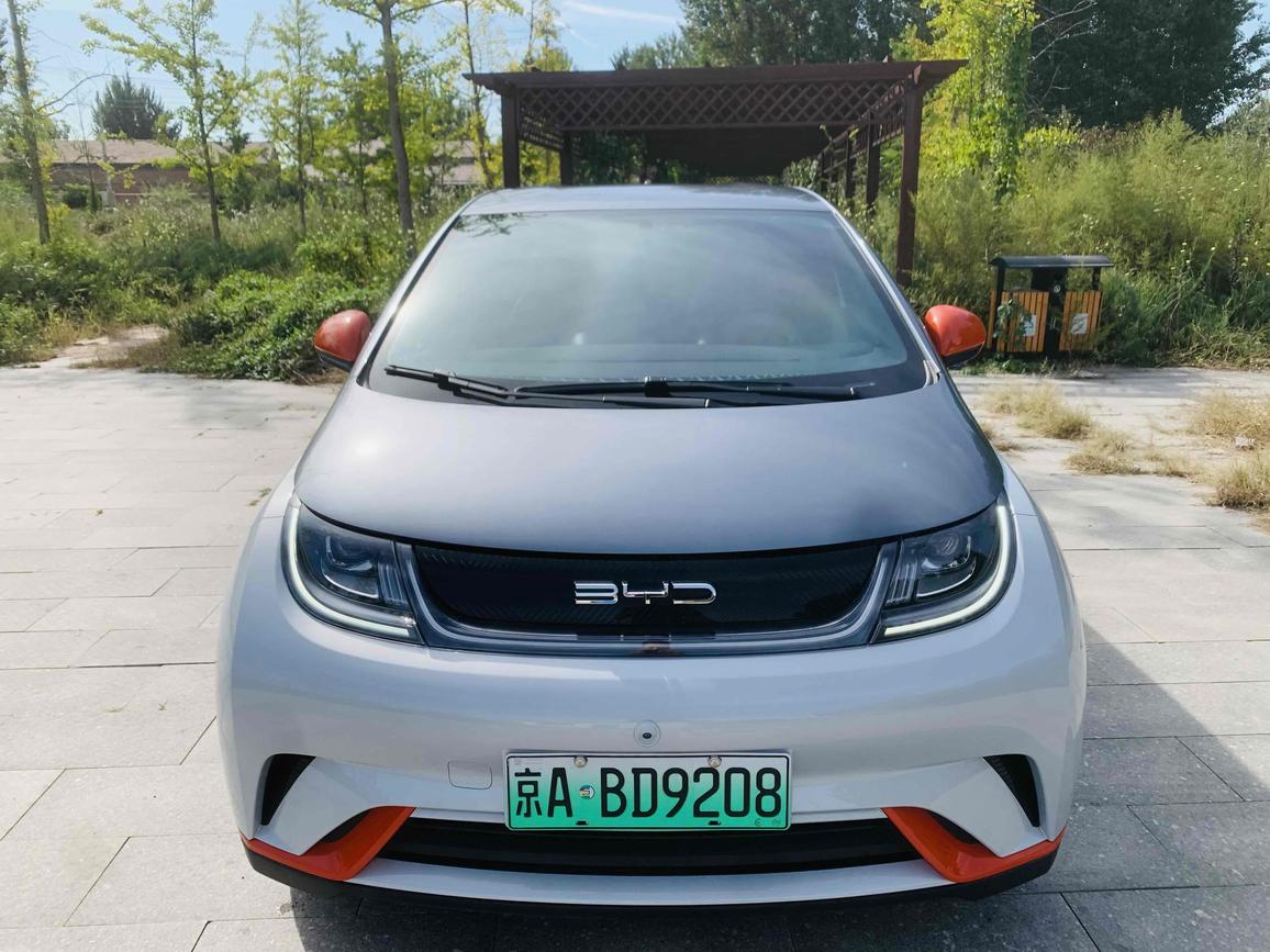 BYD BYD Dolphin в цвете и кузовом – это идеальный выбор среди китайских автомобилей. Доступная цена и надежность гарантированы.