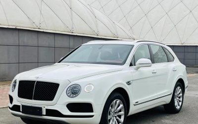 Audi Audi A8 в цвете и кузовом – это идеальный выбор среди китайских автомобилей. Доступная цена и надежность гарантированы.