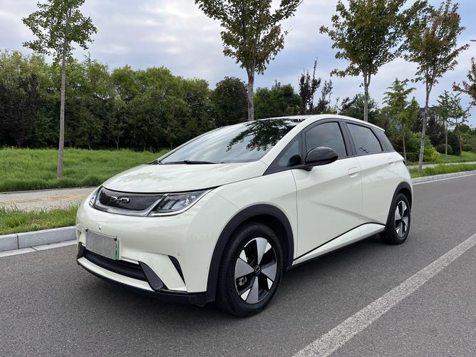 r1023081-byd-dolphin-2023_0