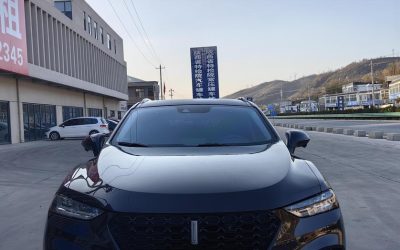 Toyota Toyota Levin в цвете и кузовом – это идеальный выбор среди китайских автомобилей. Доступная цена и надежность гарантированы.