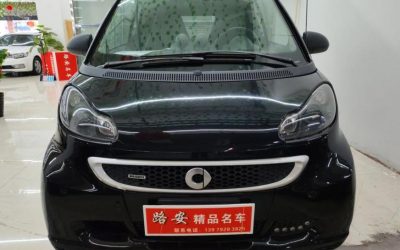 r1023186-smart-fortwo-2013_0