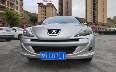 r1023223-peugeot-207-2013_0