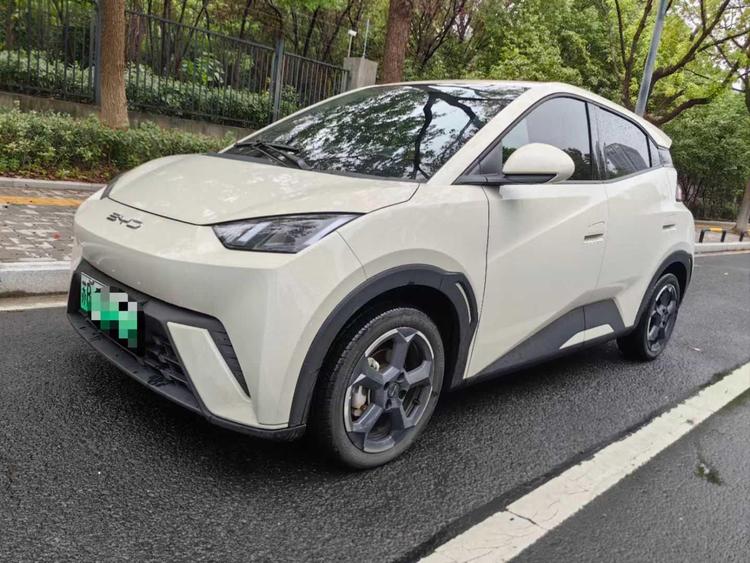 BYD BYD Seagull в цвете и кузовом – это идеальный выбор среди китайских автомобилей. Доступная цена и надежность гарантированы.