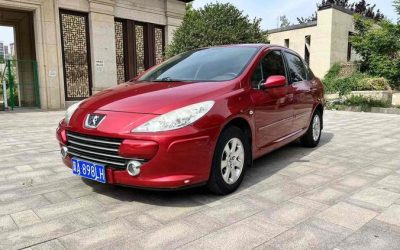 r1023612-peugeot-307-2010_0