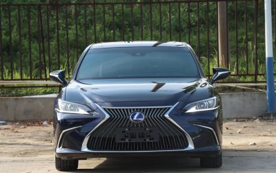 NIO NIO ES7 в цвете и кузовом – это идеальный выбор среди китайских автомобилей. Доступная цена и надежность гарантированы.
