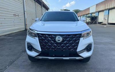 r1024581-dongfeng-ruiqi-7-2022_0