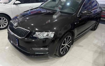 Audi Audi A8 в цвете и кузовом – это идеальный выбор среди китайских автомобилей. Доступная цена и надежность гарантированы.