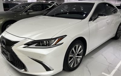 NIO NIO ES7 в цвете и кузовом – это идеальный выбор среди китайских автомобилей. Доступная цена и надежность гарантированы.