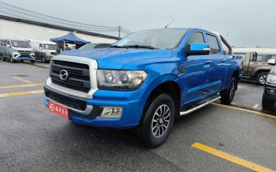 r1024741-zhongxing-terralord-2020_0
