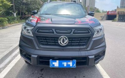 r1024879-dongfeng-ruiqi-6-2021_0