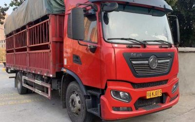 r205021-dongfeng-tianjin-kr-2021_1