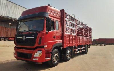 r205575-dongfeng-tianlong-vl-2019_1