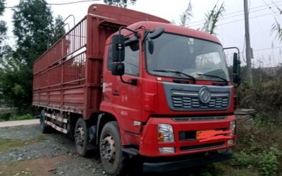 r205818-dongfeng-changxing-2019_1