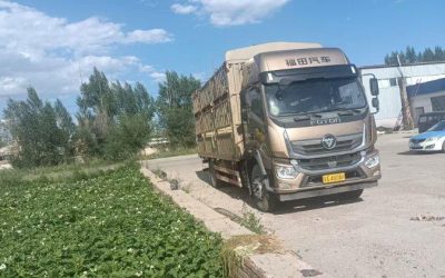 NIO NIO ES7 в цвете и кузовом – это идеальный выбор среди китайских автомобилей. Доступная цена и надежность гарантированы.