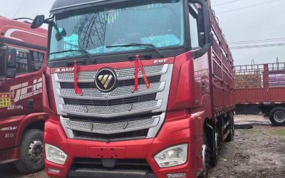 r207798-foton-auman-est-2021_1