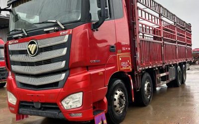 r207861-foton-auman-est-2019_1
