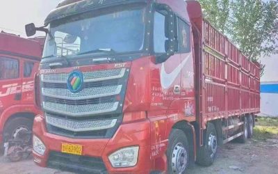 r207939-foton-auman-est-2019_1