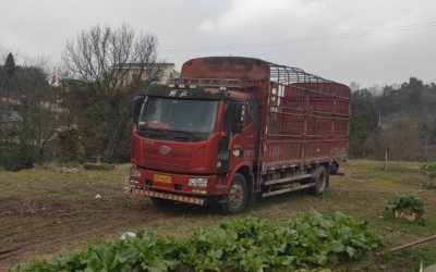 r210864-jiefang-j6l-2017_1
