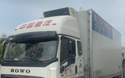 r212895-howo-tx-2023_1