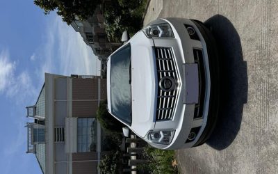 NIO NIO ES7 в цвете и кузовом – это идеальный выбор среди китайских автомобилей. Доступная цена и надежность гарантированы.