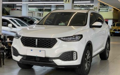 Toyota Toyota Levin в цвете и кузовом – это идеальный выбор среди китайских автомобилей. Доступная цена и надежность гарантированы.