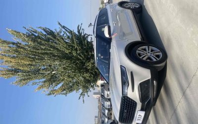 Audi Audi A8 в цвете и кузовом – это идеальный выбор среди китайских автомобилей. Доступная цена и надежность гарантированы.