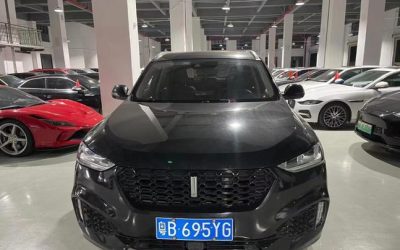 Toyota Toyota Levin в цвете и кузовом – это идеальный выбор среди китайских автомобилей. Доступная цена и надежность гарантированы.