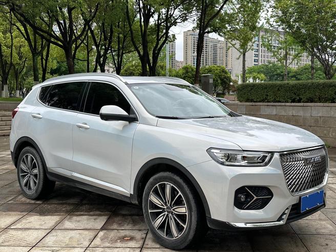 Haval Haval H6 в цвете и кузовом – это идеальный выбор среди китайских автомобилей. Доступная цена и надежность гарантированы.