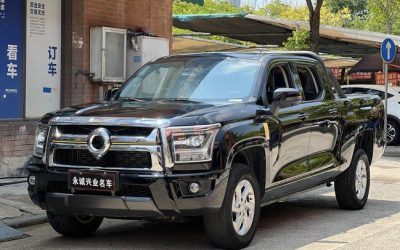 Great Wall Great Wall Wingle 7 в цвете и кузовом – это идеальный выбор среди китайских автомобилей. Доступная цена и надежность гарантированы.