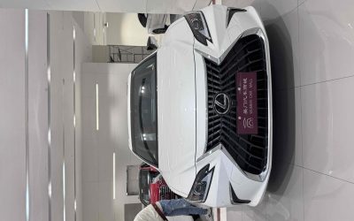 NIO NIO ES7 в цвете и кузовом – это идеальный выбор среди китайских автомобилей. Доступная цена и надежность гарантированы.