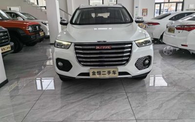 Audi Audi A8 в цвете и кузовом – это идеальный выбор среди китайских автомобилей. Доступная цена и надежность гарантированы.