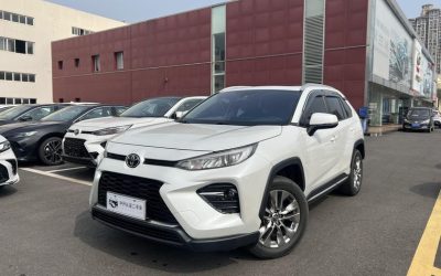 Toyota Toyota Vios в цвете и кузовом – это идеальный выбор среди китайских автомобилей. Доступная цена и надежность гарантированы.