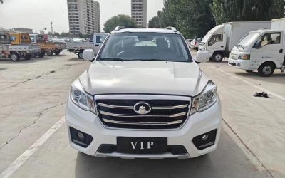 Great Wall Great Wall Wingle 7 в цвете и кузовом – это идеальный выбор среди китайских автомобилей. Доступная цена и надежность гарантированы.