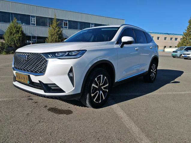 Haval Haval H6 в цвете и кузовом – это идеальный выбор среди китайских автомобилей. Доступная цена и надежность гарантированы.