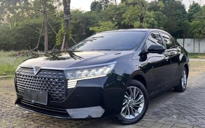 Audi Audi A8 в цвете и кузовом – это идеальный выбор среди китайских автомобилей. Доступная цена и надежность гарантированы.