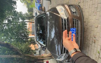 Audi Audi A8 в цвете и кузовом – это идеальный выбор среди китайских автомобилей. Доступная цена и надежность гарантированы.